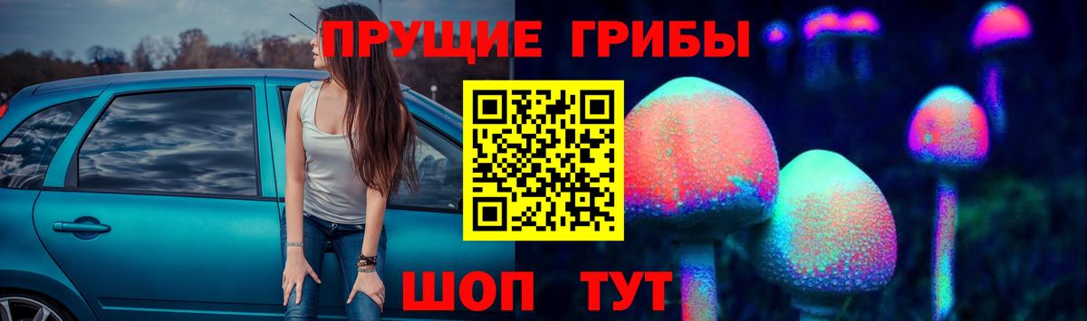 как найти наркотики  Вход с VPN  Губкин  Псилоцибиновые грибы MAGIC MUSHROOMS 